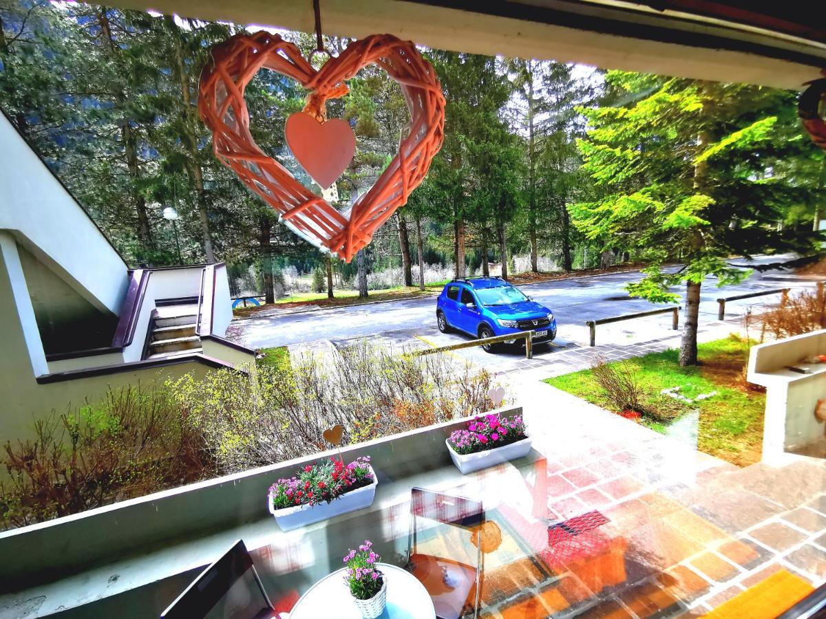 Dapolo - Cosy Appartment In Val Di Fassa Campestrin Екстериор снимка